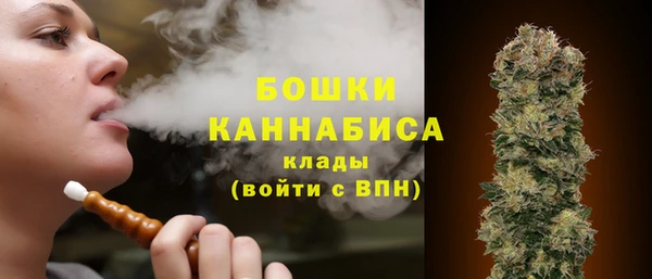 спайс Нягань