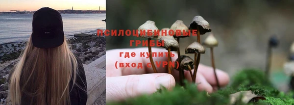гашиш Няндома