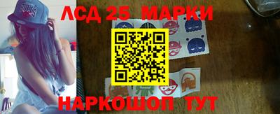 шишки Будённовск