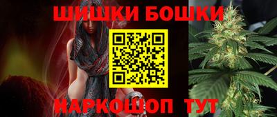 шишки Будённовск