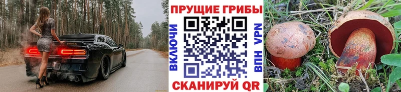 где купить   Рассказово  Псилоцибиновые грибы прущие грибы 