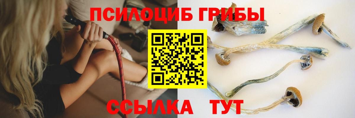 Псилоцибиновые грибы прущие грибы Рассказово